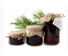 Варенье из сосновой шишки Варенье из сосновой шишки