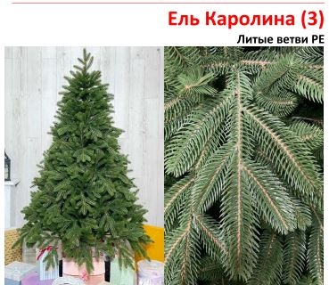 Ель Каролина 3 Ель Каролина 3