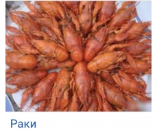 Раки в/м фас 1кг 