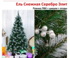 Ель Снежная серебро Элит