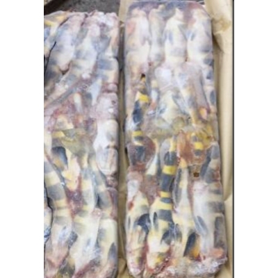 Терпуг курильский L;2L 