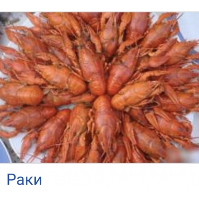 Раки в/м фас 1кг 