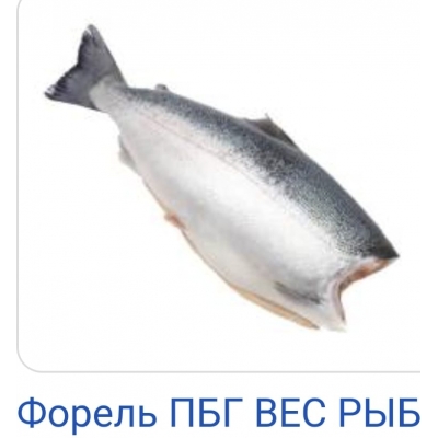 Форель ПБГ КНР L 