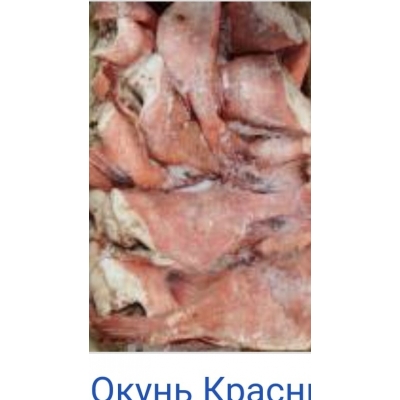 Красный окунь(берикс) 18 кг